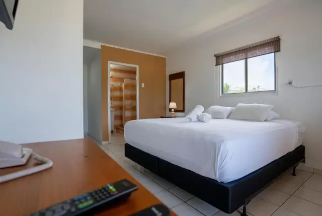 Coconut Inn | kamer